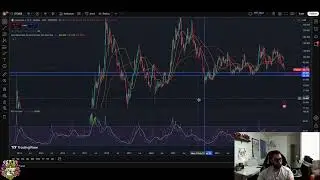 Litecoin LTC Price Prediction: Oversold Signals & Next Moves