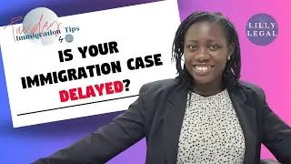 What You Can Do If Your Immigration Case is Delayed
