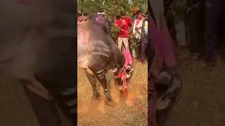 #short #mathur #rahul patil #viral #trending