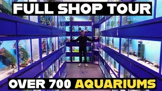 WHARF AQUATICS | THE UK'S BEST FISH STORE