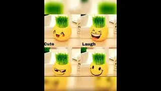 #DIY Emoji planter🌳🌳🌳