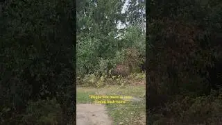 Outing With My Family Before Winter Comes