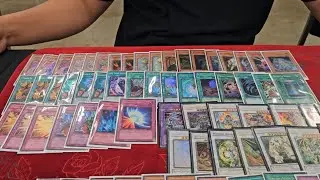 Amaryllis Plants Top 8 Deck Profile | Edison Format Nationals 2024
