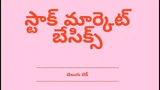 Stock Market Basics explained in Telugu| Financial Ratios | Stock market listing process|