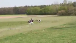 T-Rex 150DFC von robbe/Align