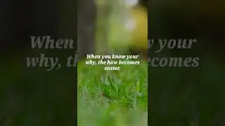 Let Purpose Lead