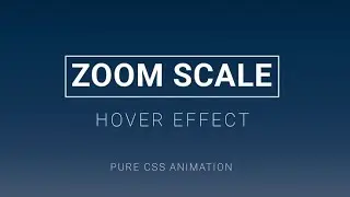 CSS Zoom effect || Mini project
