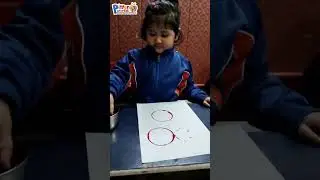 Shape Learning By Class PG