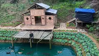 Building a Bamboo Drying Rack Over the Fish Pond | 365 Days Building a Forest Farm - P.9