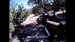 Black Thorn airsoft