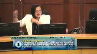 Tammy Kim - Entire Opening Remarks Against District Elections