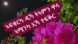 Shewit tube ሸዊት ቲዩብ  is live ኣፍቂርካ ዲኻ ትኣምን ዋላ ኣሚንካ ኢኻ ተፍቅር 
