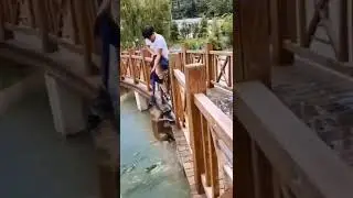Man Saves dog from gator infested waters
