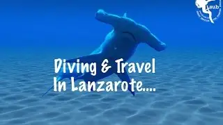Diving & Travel in Lanzarote by 4Sub