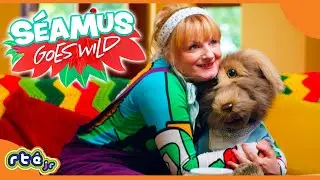 ⭐️ NEW ⭐️ S&eacute;amus Goes Wild | Trailer | Streaming Now on RT&Eacute; Player!  | @RT&Eacute;jrOfficial