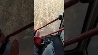 IH 303 shelling 200 bpa corn 4 rows at 3.5 mph