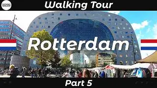 🇳🇱 Netherlands, ROTTERDAM - Part 5: WALKING Tour of the City
