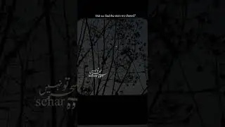 ye daag daag ujala ||shorts hub ||#shayari #urdupoetry #viral #viralvideo #shorts #video
