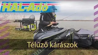 Télűző kárászok