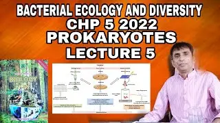 Chapter 6 - PROKARYOTES| BACTERIAL ECOLOGY AND DIVERSITY | LECTURE 5 | PROF.RAJKUMAR |📗