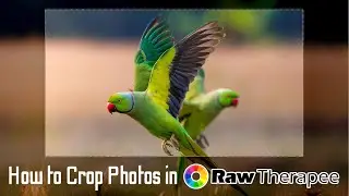 How to Crop Photos in RawTherapee: Step by Step How to Use the Crop Tool in RawTherapee