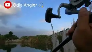 Feeder casting #majorcraftindra #Safinapro #majorcraft #okuma#odiaangler