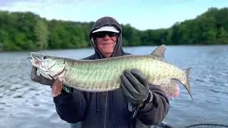 Open Water Muskie Fishing on Kinkaid Lake