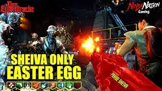 SHEIVA ONLY EASTER EGG CHALLENGE COMPLETE 