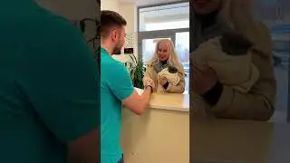 Real Life Russian | I got a cat | Learn Russian for Foreigners