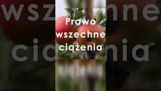 Newton, Kepler i poszukiwania grawitacji #fizyka #nauka #historia #kosmos