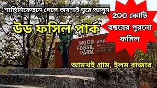 আমখই উড ফসিল পার্ক || AMKHOI WOOD FOSSIL PARK : A Park with millions year old wood fossils & plants.