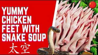 Bizarre Food Eaten in China 🇨🇳