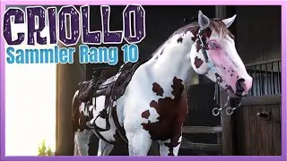 WHITE meine Criollo Stute (Sammler Rang 10) Red Dead Online