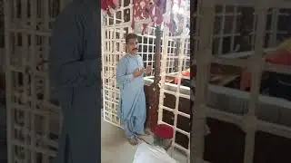 Murshad Shah Mardan Sakhi Sikandar Bodla Bahar Shrine | Sehwan Sharif | Sindh