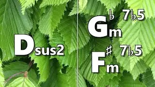 Dsus2 to Gbm7b5 (F#m7b5) Backing Track