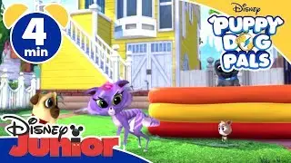 Puppy Dog Pals | Un gattino molto vivace -  Disney Junior Italia