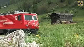 Disco 80 Modern Savage - Radio train Drive Extreme Magic snow travel Summer remix