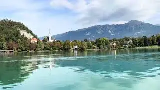 Cream cake by Lake Bled #travel #creamcake #lakebled #slovenia #cake #visitslovenia #travelvlog 