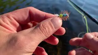 Atlantic Salmon Fly Fishing Adventure