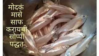 How to clean small silver fish | मोदकं मासे खायची आहेत पण साफ करायचा कंटाळा येतो मग हा व्हिडीओ बघा