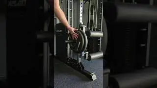 So trainierst du deine Beine zuhause XPLON Beinstrecker Beincurler Leg Extension Station #training