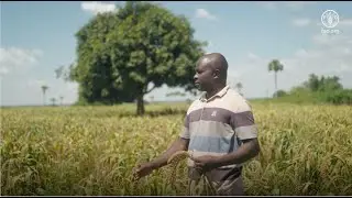 Foxtail millet: Charles' story