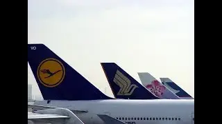 AMEX takes a view on evolution of airline distribution