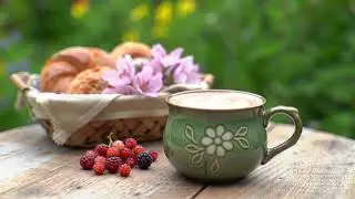 Warm Morning Coffee Jazz ~ Smooth Bossa Nova Piano and Delicate Jazz Music for Stress Relief
