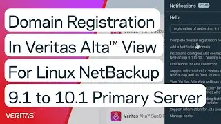 Domain Registration in Veritas Alta&trade; View for Linux NetBackup 9.1 to 10.1 Primary Server