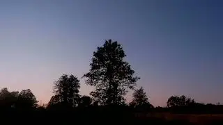 2808утка