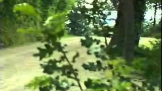RALLY DEI CASTELLI 1990 SAN MARINO - dal n.1 al n. 112 - Part 1