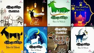 Eid mubarak islamic whatsApp dpz/Beautiful Bakra Eid dp 2023/Eid ul azha dpz for instagram💗