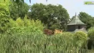 EMISSIONDÉCOUVERTES JARDINS N°1(décembre)