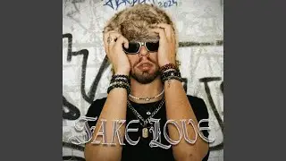 FAKE LOVE (feat. sivyjune)